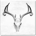 Picture of Cranial Bone ll   _GroupedProduct_Square_Canvas_