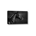 Picture of Black Beauty _GroupedProduct_Rectangle_Landscape_Photography _GroupedProduct_Rectangle_Landscape_Canvas_