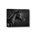 Picture of Black Beauty _GroupedProduct_Rectangle_Landscape_Photography _GroupedProduct_Rectangle_Landscape_Canvas_