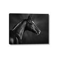 Picture of Black Beauty _GroupedProduct_Rectangle_Landscape_Photography _GroupedProduct_Rectangle_Landscape_Canvas_