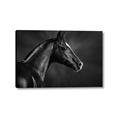 Picture of Black Beauty _GroupedProduct_Rectangle_Landscape_Photography _GroupedProduct_Rectangle_Landscape_Canvas_