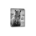 Picture of Icelandic horse in black and white _GroupedProduct_Rectangle_Portrait_Photography _GroupedProduct_Rectangle_Portrait_Canvas_