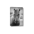 Picture of Icelandic horse in black and white _GroupedProduct_Rectangle_Portrait_Photography _GroupedProduct_Rectangle_Portrait_Canvas_