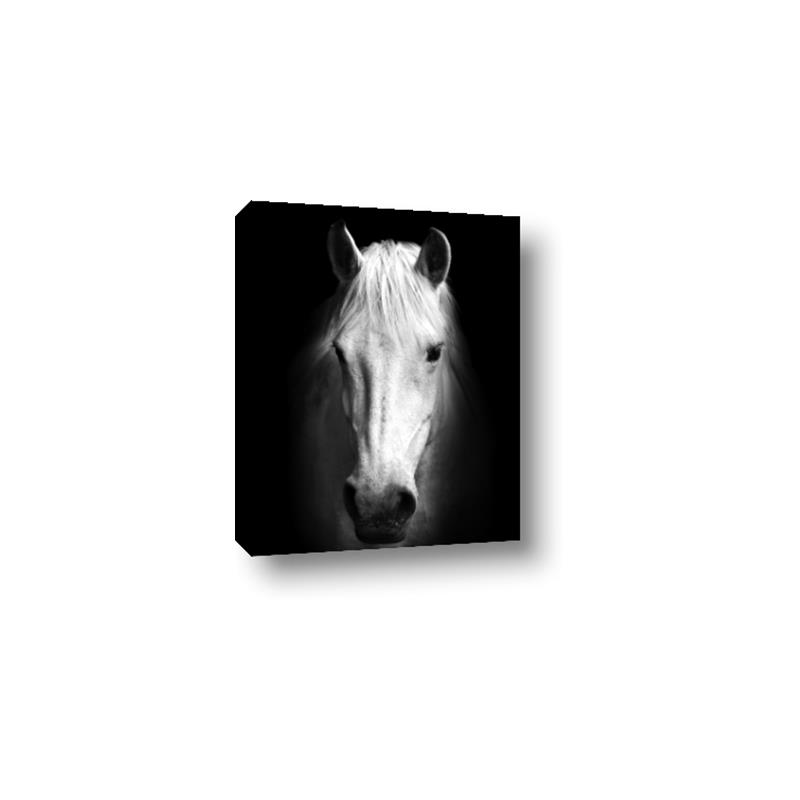 Picture of Friend in Deed _GroupedProduct_Rectangle_Portrait_Photography _GroupedProduct_Rectangle_Portrait_Canvas_