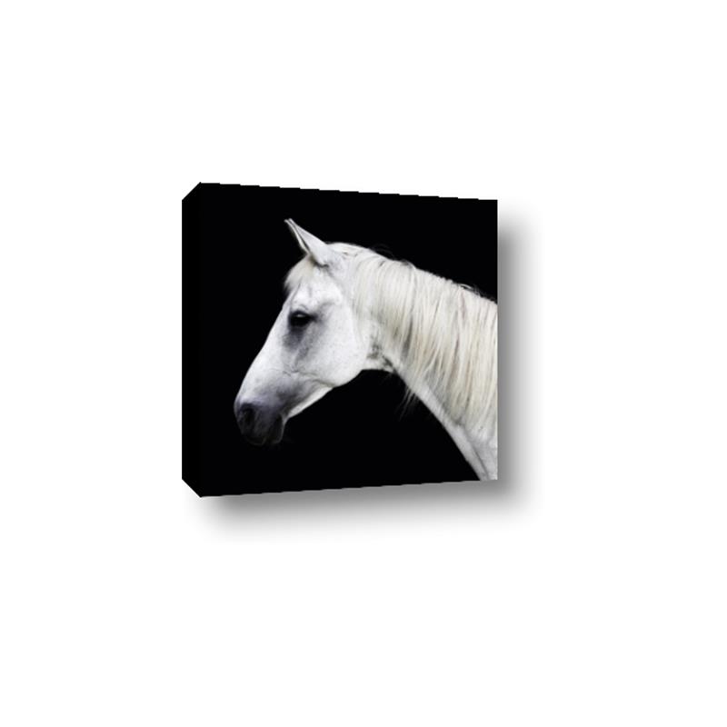 Picture of Side Profile _GroupedProduct_Square_Photography _GroupedProduct_Square_Canvas_