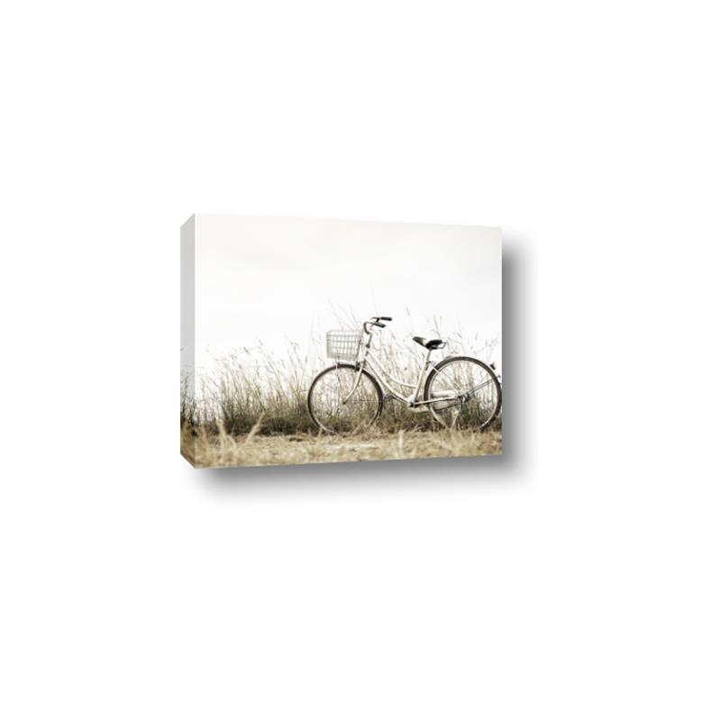 Picture of Leaning Bike  _GroupedProduct_Rectangle_Landscape_Photography _GroupedProduct_Rectangle_Landscape_Canvas_