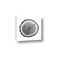 Picture of Log Slice I _GroupedProduct_Square_Photography _GroupedProduct_Square_Canvas_