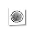 Picture of Log Slice I _GroupedProduct_Square_Photography _GroupedProduct_Square_Canvas_