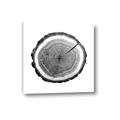 Picture of Log Slice I _GroupedProduct_Square_Photography _GroupedProduct_Square_Canvas_