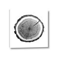 Picture of Log Slice I _GroupedProduct_Square_Photography _GroupedProduct_Square_Canvas_
