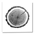 Picture of Log Slice I _GroupedProduct_Square_Photography _GroupedProduct_Square_Canvas_