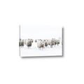 Picture of Sheep Party _GroupedProduct_Rectangle_Landscape_Photography _GroupedProduct_Rectangle_Landscape_Canvas_