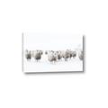 Picture of Sheep Party _GroupedProduct_Rectangle_Landscape_Photography _GroupedProduct_Rectangle_Landscape_Canvas_