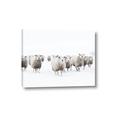 Picture of Sheep Party _GroupedProduct_Rectangle_Landscape_Photography _GroupedProduct_Rectangle_Landscape_Canvas_