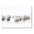 Picture of Sheep Party _GroupedProduct_Rectangle_Landscape_Photography _GroupedProduct_Rectangle_Landscape_Canvas_