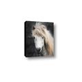 Picture of Stallion _GroupedProduct_Rectangle_Portrait_Photography _GroupedProduct_Rectangle_Portrait_Canvas_