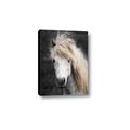 Picture of Stallion _GroupedProduct_Rectangle_Portrait_Photography _GroupedProduct_Rectangle_Portrait_Canvas_