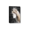 Picture of Stallion _GroupedProduct_Rectangle_Portrait_Photography _GroupedProduct_Rectangle_Portrait_Canvas_