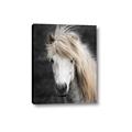 Picture of Stallion _GroupedProduct_Rectangle_Portrait_Photography _GroupedProduct_Rectangle_Portrait_Canvas_