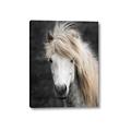 Picture of Stallion _GroupedProduct_Rectangle_Portrait_Photography _GroupedProduct_Rectangle_Portrait_Canvas_