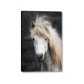 Picture of Stallion _GroupedProduct_Rectangle_Portrait_Photography _GroupedProduct_Rectangle_Portrait_Canvas_