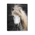 Picture of Stallion _GroupedProduct_Rectangle_Portrait_Photography _GroupedProduct_Rectangle_Portrait_Canvas_