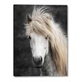 Picture of Stallion _GroupedProduct_Rectangle_Portrait_Photography _GroupedProduct_Rectangle_Portrait_Canvas_