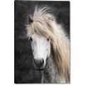 Picture of Stallion _GroupedProduct_Rectangle_Portrait_Photography _GroupedProduct_Rectangle_Portrait_Canvas_