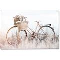 Picture of Field Bike _GroupedProduct_Rectangle_Landscape_Photography _GroupedProduct_Rectangle_Landscape_Canvas_