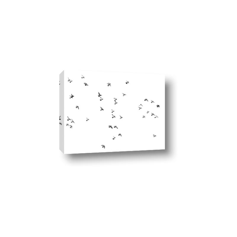 Picture of Flying Birds _GroupedProduct_Rectangle_Landscape_Photography _GroupedProduct_Rectangle_Landscape_Canvas_