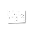 Picture of Flying Birds _GroupedProduct_Rectangle_Landscape_Photography _GroupedProduct_Rectangle_Landscape_Canvas_