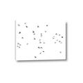 Picture of Flying Birds _GroupedProduct_Rectangle_Landscape_Photography _GroupedProduct_Rectangle_Landscape_Canvas_