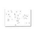 Picture of Flying Birds _GroupedProduct_Rectangle_Landscape_Photography _GroupedProduct_Rectangle_Landscape_Canvas_