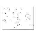 Picture of Flying Birds _GroupedProduct_Rectangle_Landscape_Photography _GroupedProduct_Rectangle_Landscape_Canvas_