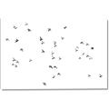 Picture of Flying Birds _GroupedProduct_Rectangle_Landscape_Photography _GroupedProduct_Rectangle_Landscape_Canvas_