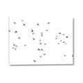 Picture of Flying Birds _GroupedProduct_Rectangle_Landscape_Photography _GroupedProduct_Rectangle_Landscape_Canvas_