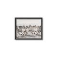 Picture of Horses Running in Water _GroupedProduct_Rectangle_Landscape_Photography _GroupedProduct_Rectangle_Landscape_Canvas_Framed_