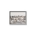 Picture of Horses Running in Water _GroupedProduct_Rectangle_Landscape_Photography _GroupedProduct_Rectangle_Landscape_Canvas_Framed_