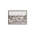 Picture of Horses Running in Water _GroupedProduct_Rectangle_Landscape_Photography _GroupedProduct_Rectangle_Landscape_Canvas_Framed_