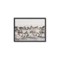 Picture of Horses Running in Water _GroupedProduct_Rectangle_Landscape_Photography _GroupedProduct_Rectangle_Landscape_Canvas_Framed_