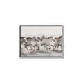 Picture of Horses Running in Water _GroupedProduct_Rectangle_Landscape_Photography _GroupedProduct_Rectangle_Landscape_Canvas_Framed_