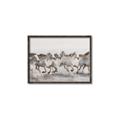 Picture of Horses Running in Water _GroupedProduct_Rectangle_Landscape_Photography _GroupedProduct_Rectangle_Landscape_Canvas_Framed_