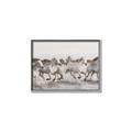 Picture of Horses Running in Water _GroupedProduct_Rectangle_Landscape_Photography _GroupedProduct_Rectangle_Landscape_Canvas_Framed_