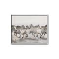 Picture of Horses Running in Water _GroupedProduct_Rectangle_Landscape_Photography _GroupedProduct_Rectangle_Landscape_Canvas_Framed_