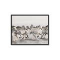 Picture of Horses Running in Water _GroupedProduct_Rectangle_Landscape_Photography _GroupedProduct_Rectangle_Landscape_Canvas_Framed_