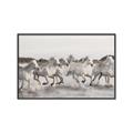 Picture of Horses Running in Water _GroupedProduct_Rectangle_Landscape_Photography _GroupedProduct_Rectangle_Landscape_Canvas_Framed_