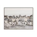 Picture of Horses Running in Water _GroupedProduct_Rectangle_Landscape_Photography _GroupedProduct_Rectangle_Landscape_Canvas_Framed_
