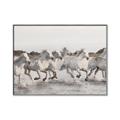 Picture of Horses Running in Water _GroupedProduct_Rectangle_Landscape_Photography _GroupedProduct_Rectangle_Landscape_Canvas_Framed_
