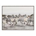 Picture of Horses Running in Water _GroupedProduct_Rectangle_Landscape_Photography _GroupedProduct_Rectangle_Landscape_Canvas_Framed_