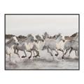 Picture of Horses Running in Water _GroupedProduct_Rectangle_Landscape_Photography _GroupedProduct_Rectangle_Landscape_Canvas_Framed_